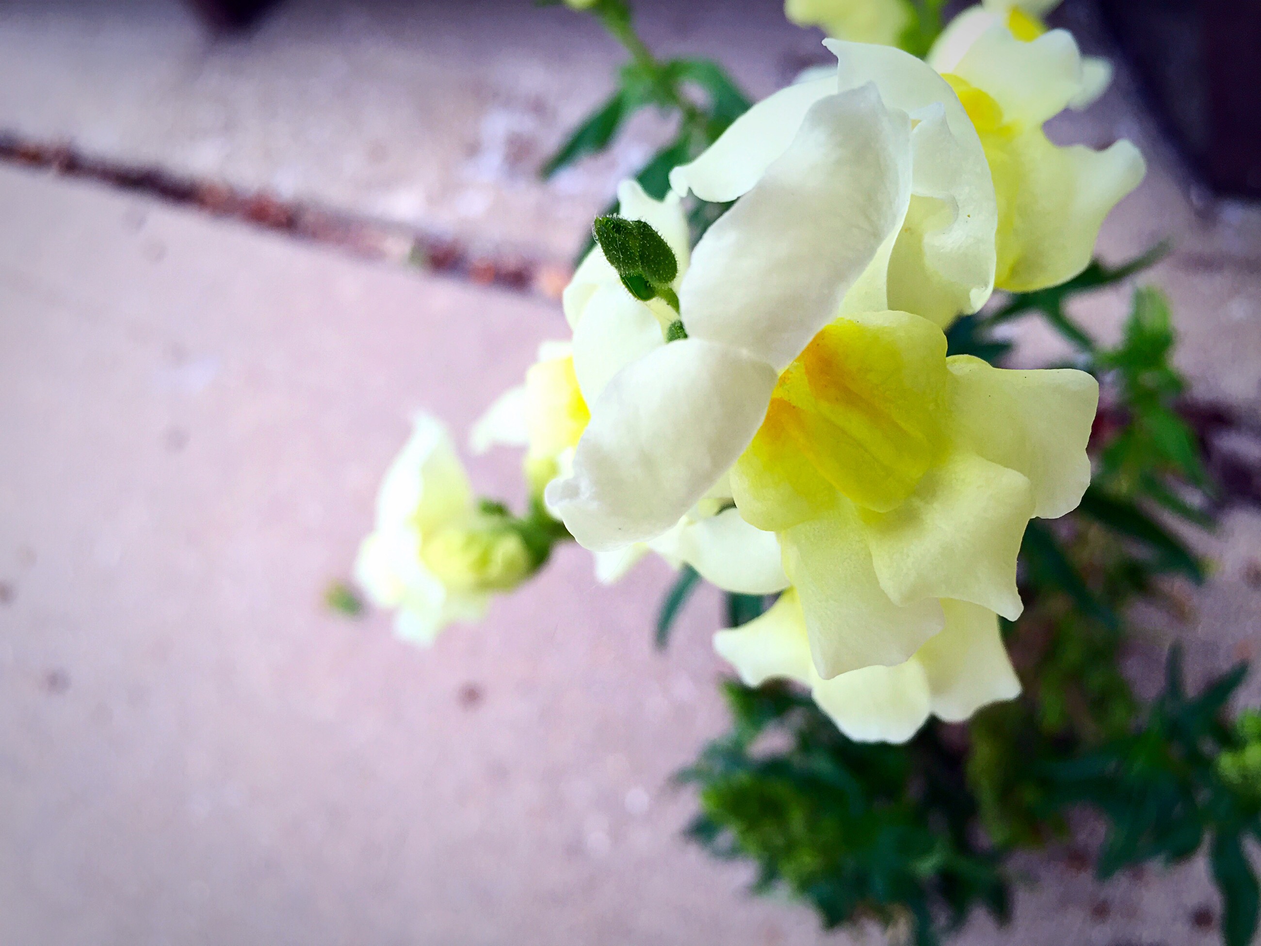 Property of Kristin Giuliani 